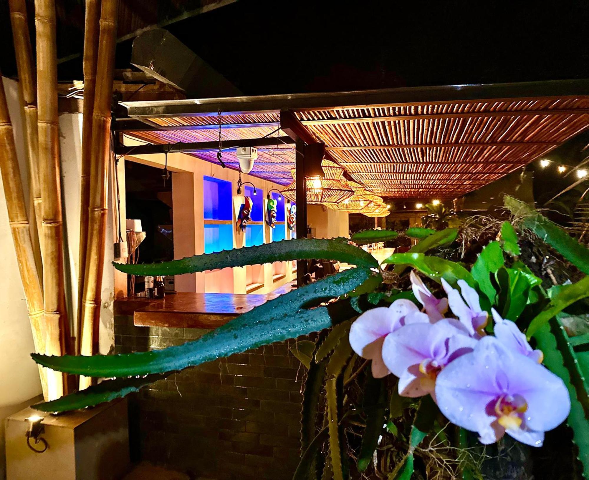 Curiol Boutique Hotel & Lounge Potrero  Esterno foto
