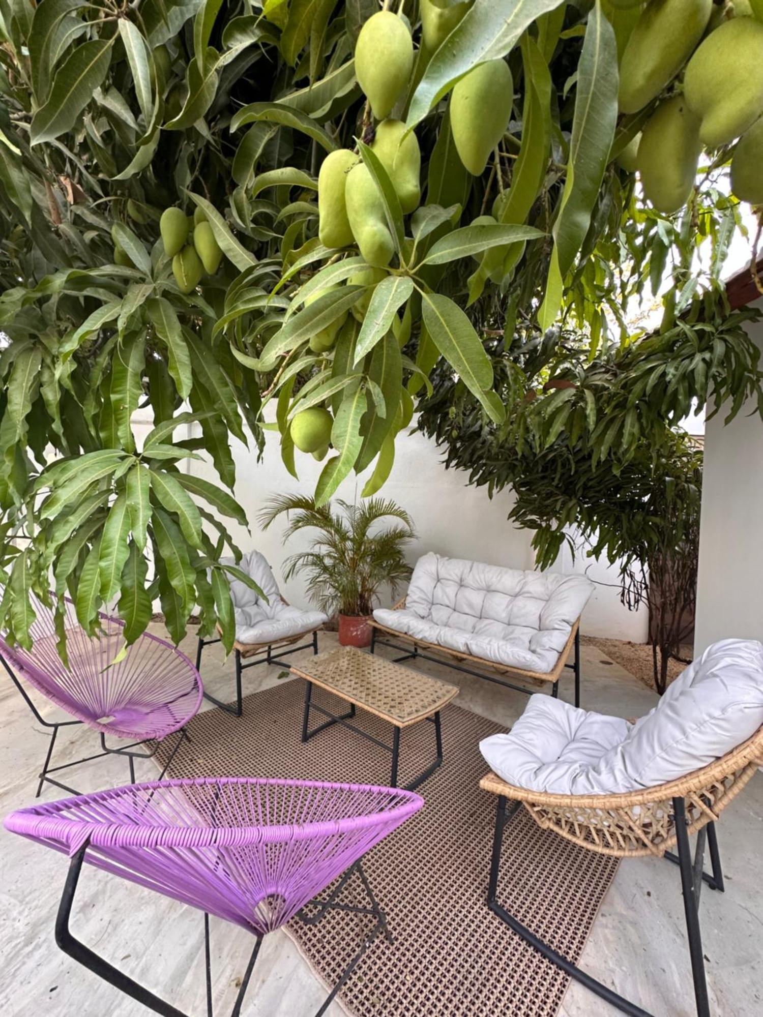 Curiol Boutique Hotel & Lounge Potrero  Esterno foto